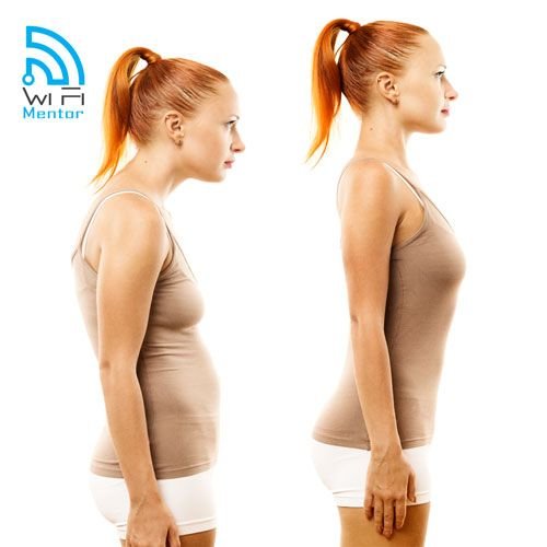 Myofascial Chains Therapy Online Course